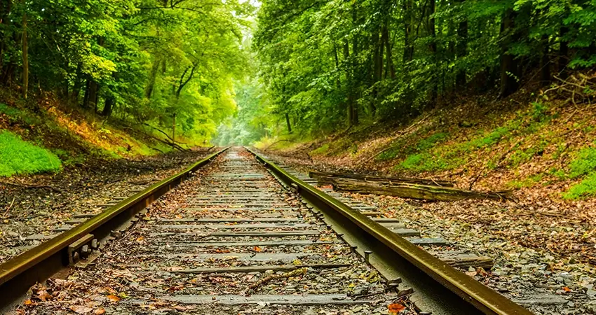 Railroad tracks in the woods