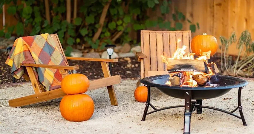 Backyard harvest display